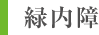 緑内